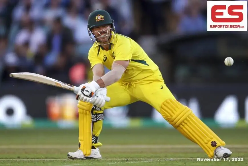 Australia vs England highlights, 1st ODI: Warner, Smith fifties assist AUS beat ENG; Malan century in useless