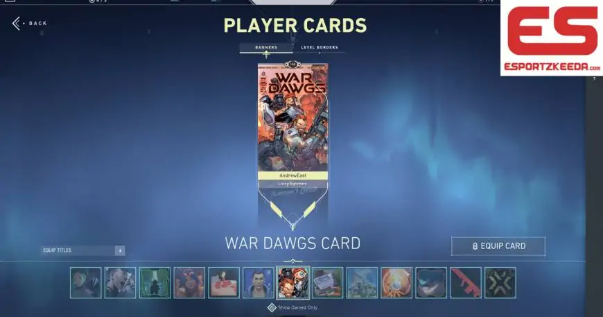 Learn how to Get Conflict Dawgz Participant Card in Valorant