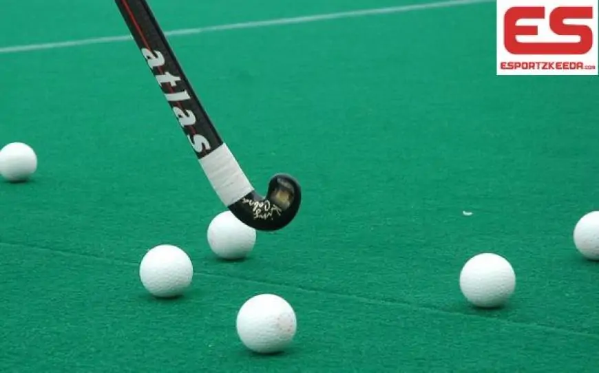 Hockey India elections: Court docket appoints returning officer