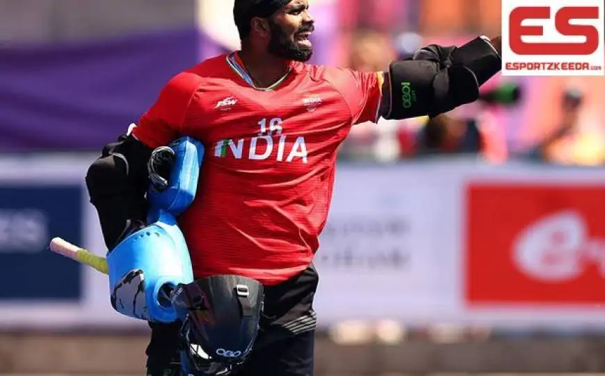 India’s Sreejesh, Savita voted FIH Males’s and Girls’s Goalkeepers of 12 months