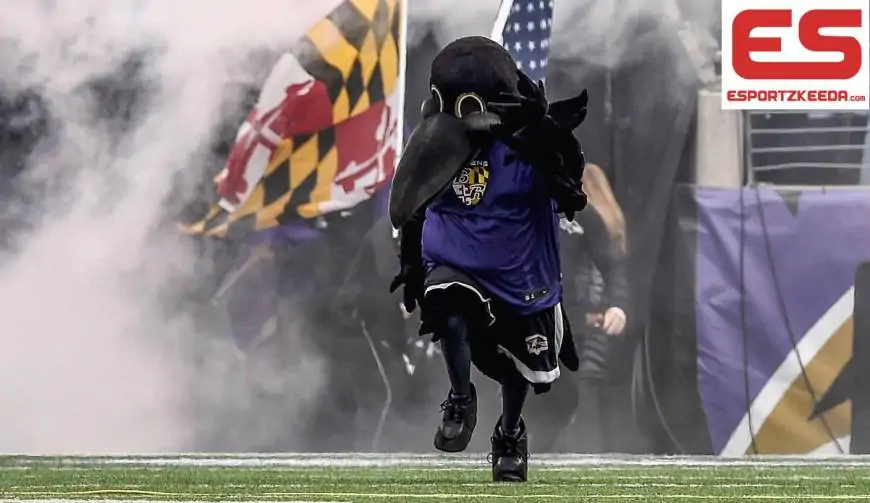 Ravens mascot injured in halftime soccer recreation