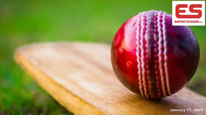 Cricket predictions – Are They Really Good?