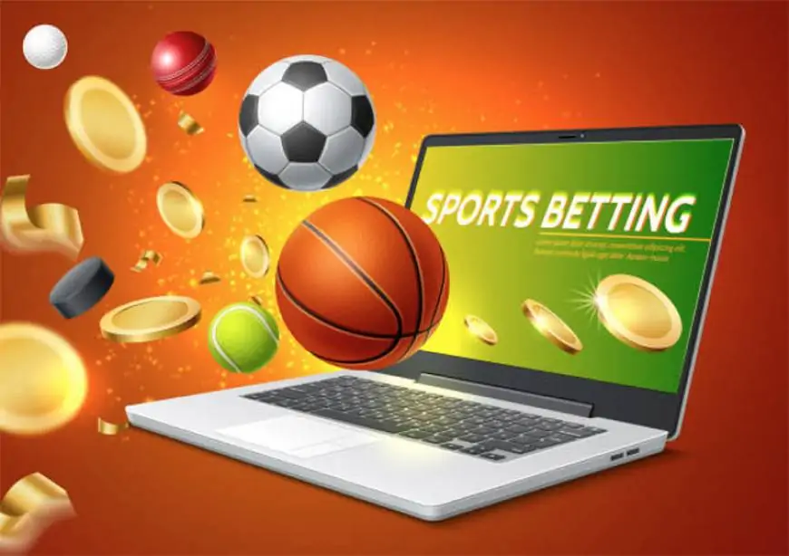 Online Betting Software for Sportsbook Business