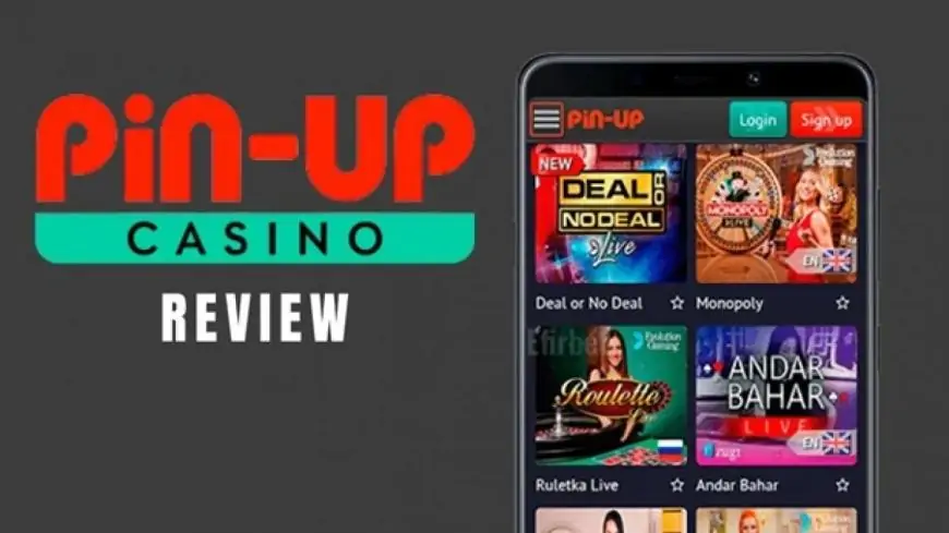 Pin Up On line casino India App Evaluation